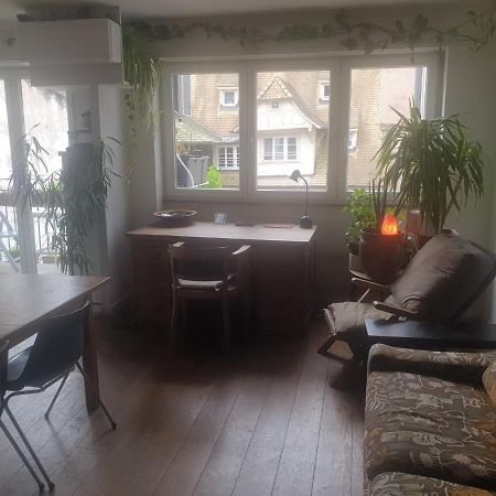 Appartement La puisatière 80 m2 à Strasbourg Extérieur photo