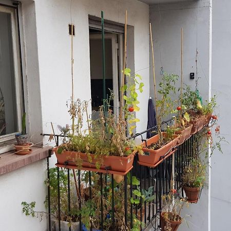 Appartement La puisatière 80 m2 à Strasbourg Extérieur photo