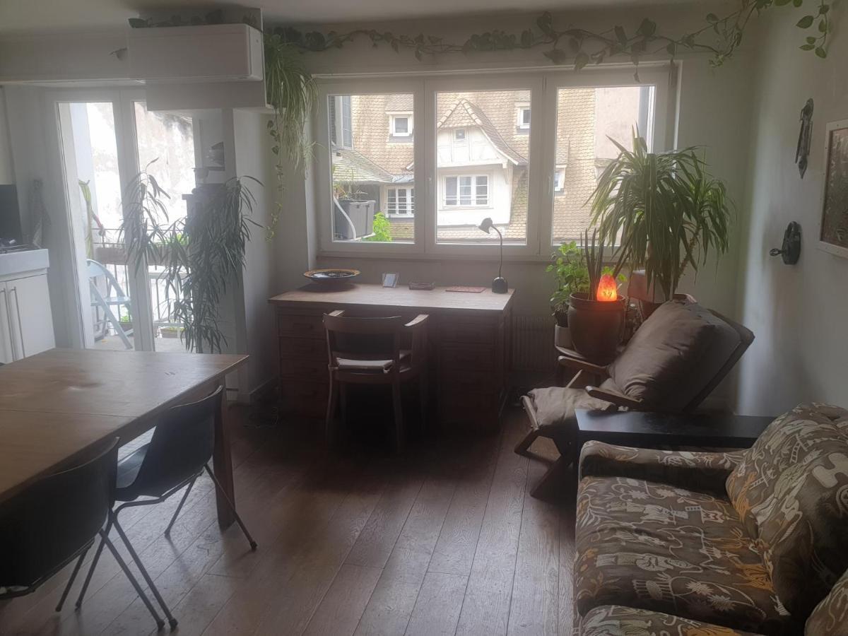 Appartement La puisatière 80 m2 à Strasbourg Extérieur photo