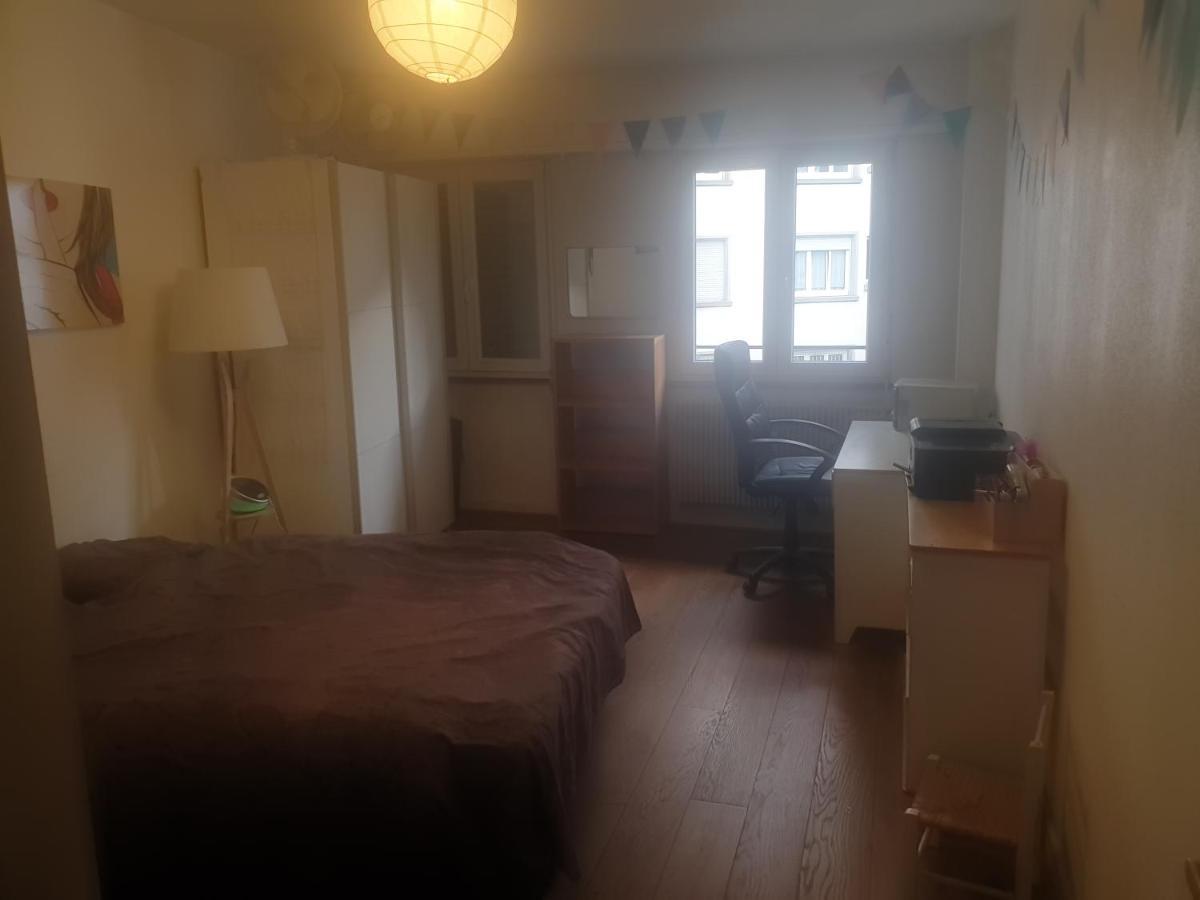 Appartement La puisatière 80 m2 à Strasbourg Extérieur photo