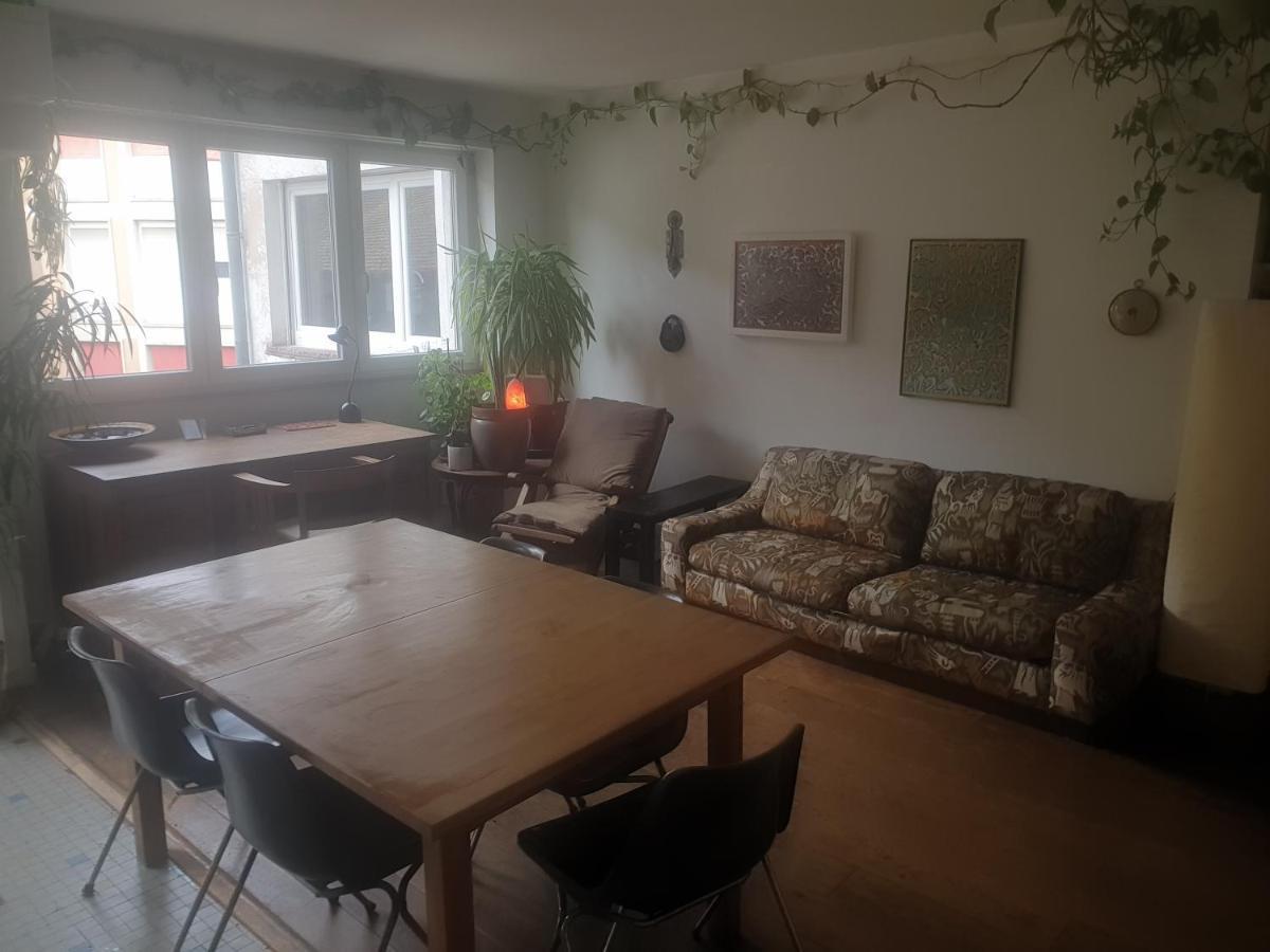 Appartement La puisatière 80 m2 à Strasbourg Extérieur photo
