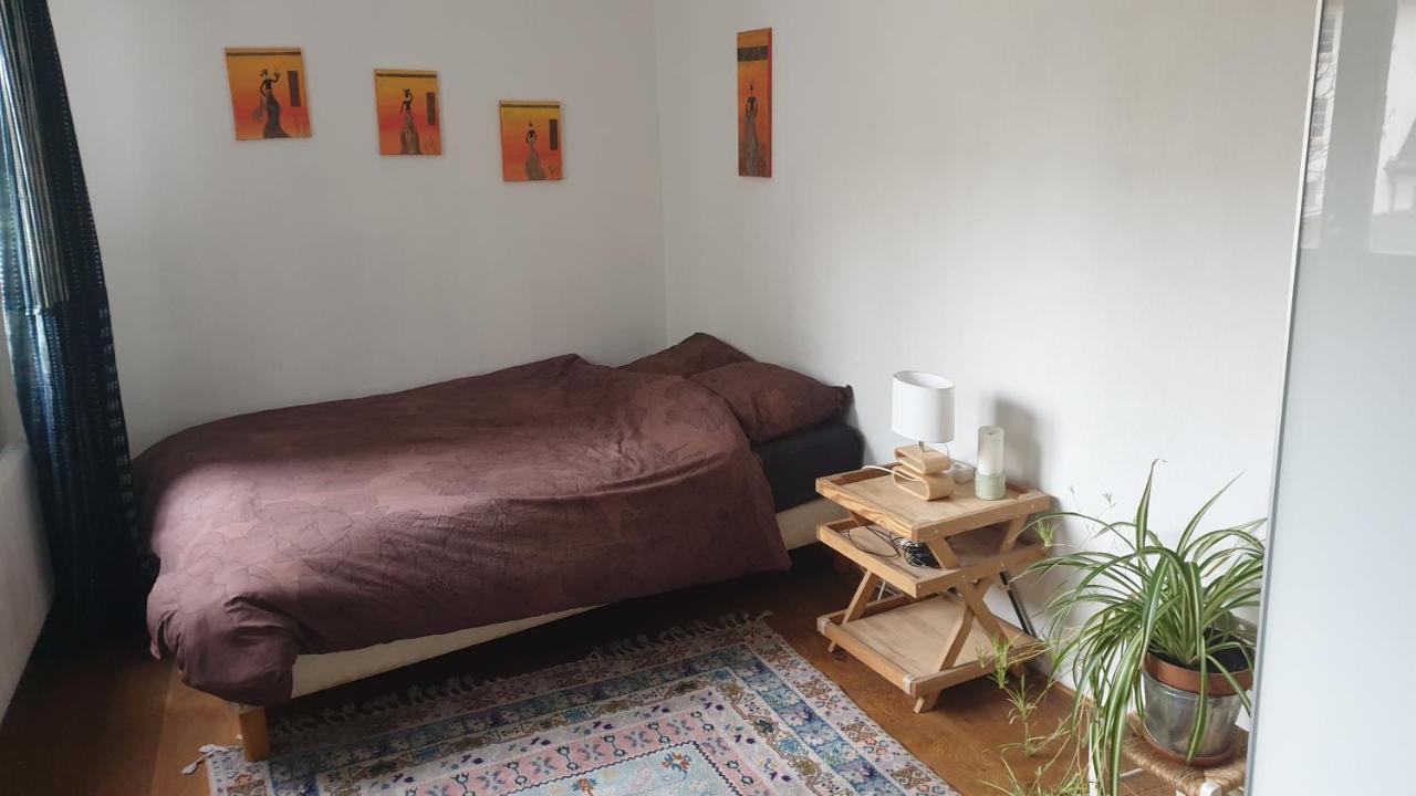 Appartement La puisatière 80 m2 à Strasbourg Extérieur photo