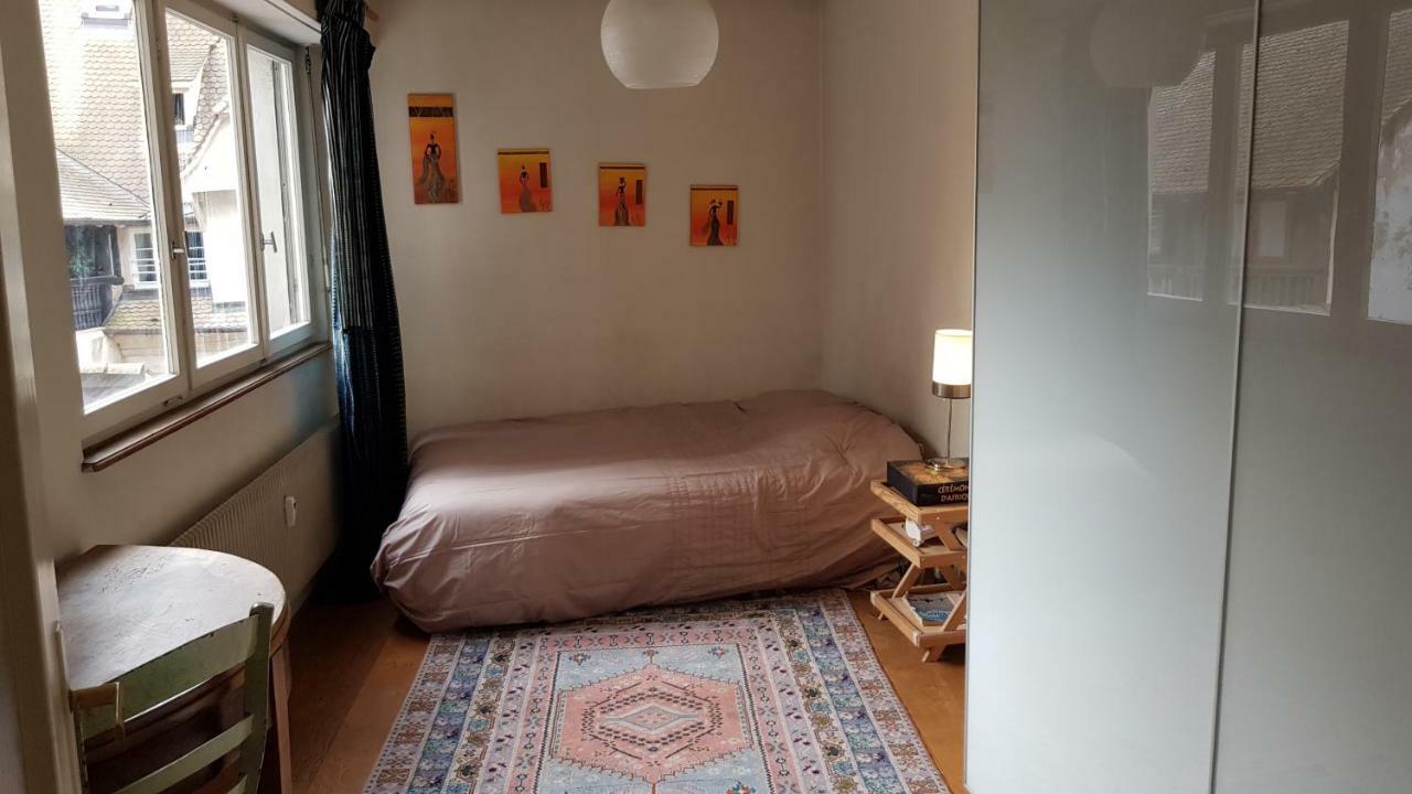 Appartement La puisatière 80 m2 à Strasbourg Extérieur photo